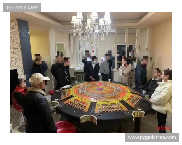 PG电子博彩的法律法规与合规性分析确保玩家权益得到有效保障