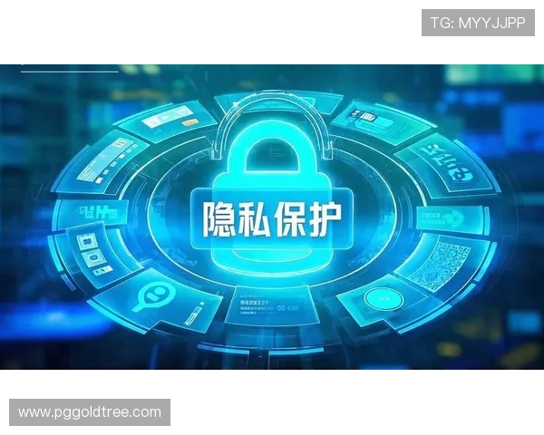PG官网入口安全保障措施全面解析确保玩家账号信息安全与隐私保护